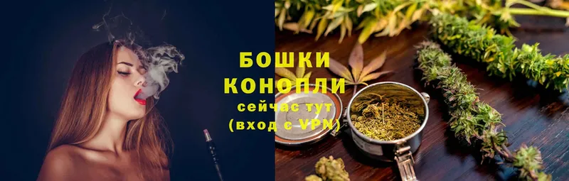 Канабис OG Kush  Чита 